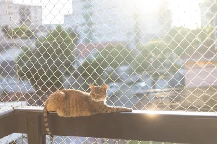 Czy montaż siatki na balkonie wymaga zgody wspólnoty? Sprawdź, zanim zaczniesz