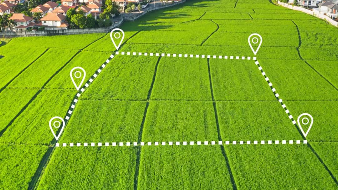 Jak geodeta wyznacza granice działki i unika problemów prawnych